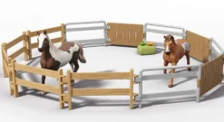 PICK-UP ET SA GRANDE REMORQUE EQUESTRE