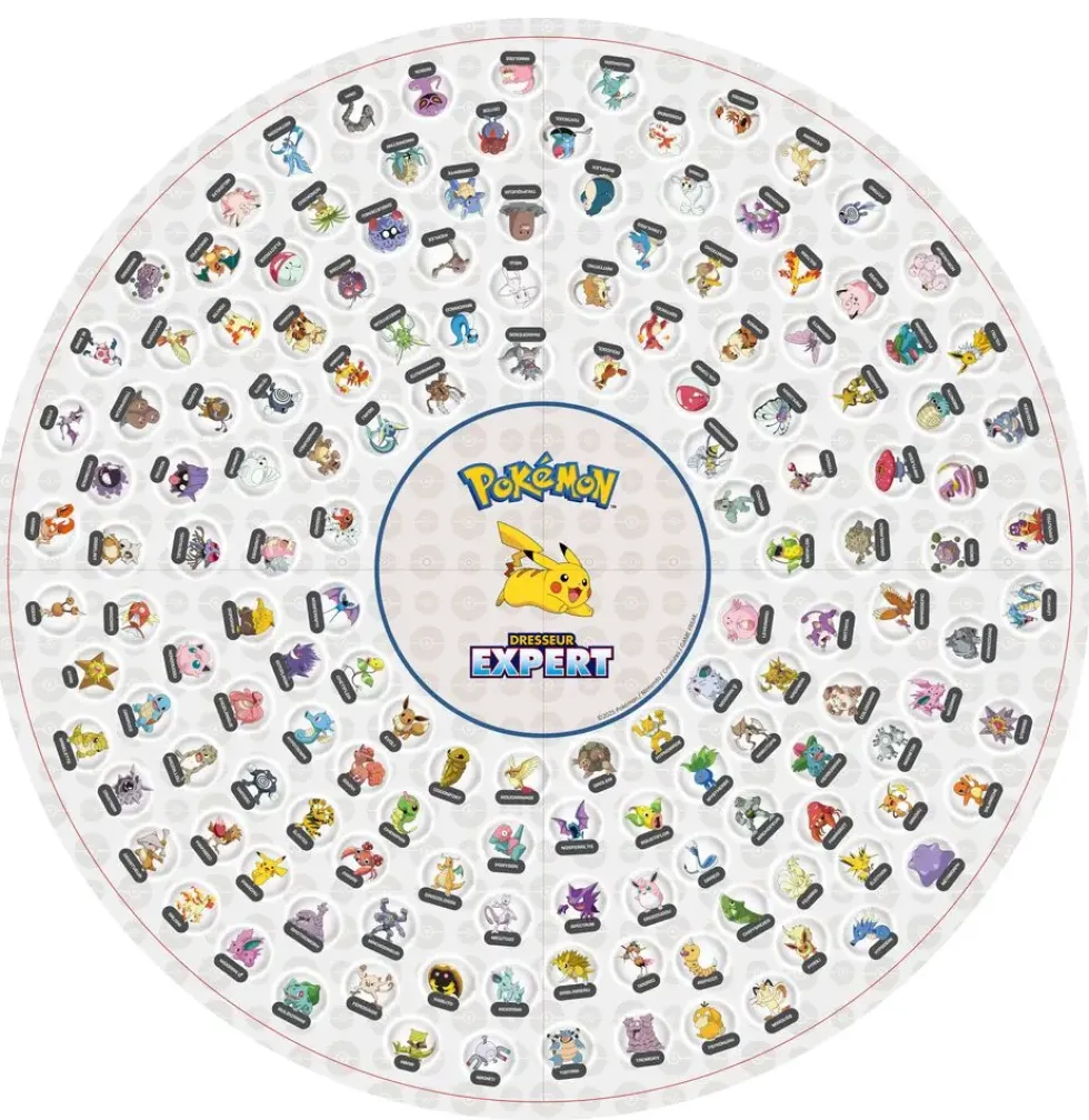 POKEMON - DRESSEUR EXPERT JEU