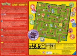 POKEMON - LABYRINTHE
