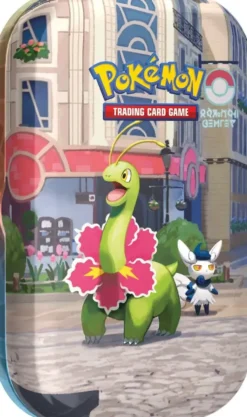 POKEMON : MINI POKEBOX