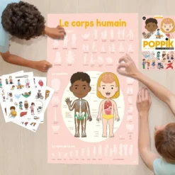 POPPIK DISCOVERY - POSTER A STICKER - LE CORPS HUMAIN