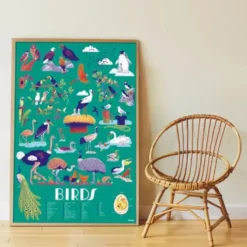 POPPIK DISCOVERY - POSTER A STICKER - OISEAUX