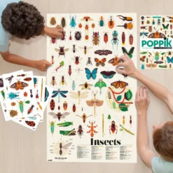 POPPIK DISCOVERY - POSTER A STICKER - LES INSECTES