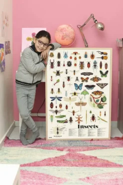 POPPIK DISCOVERY - POSTER A STICKER - LES INSECTES