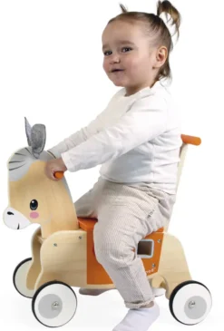 PORTEUR ANE