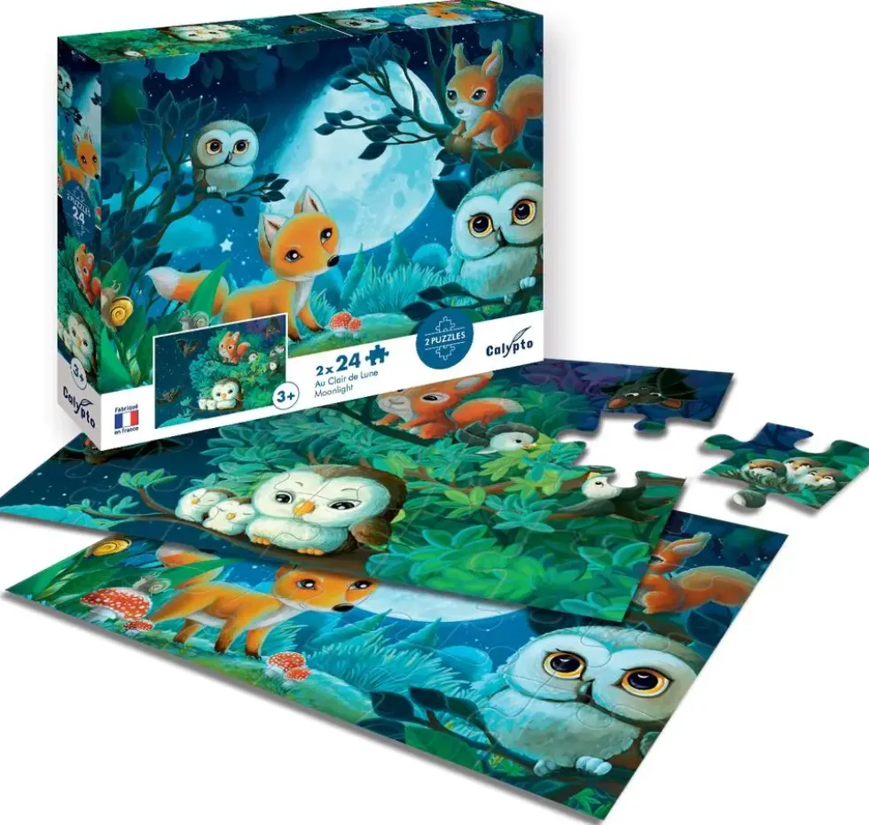 PUZZLE AU CLAIR DE LUNE 24 PIECES X2