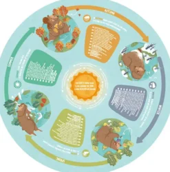 PUZZLE CIRCULAIRE 4 SAISONS