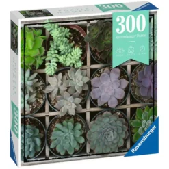 PUZZLE MOMENT 300 PIECES GREEN