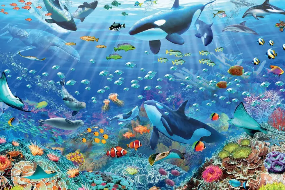 PUZZLEMONDE SOUS-MARIN COLORE - 3000 PIECES