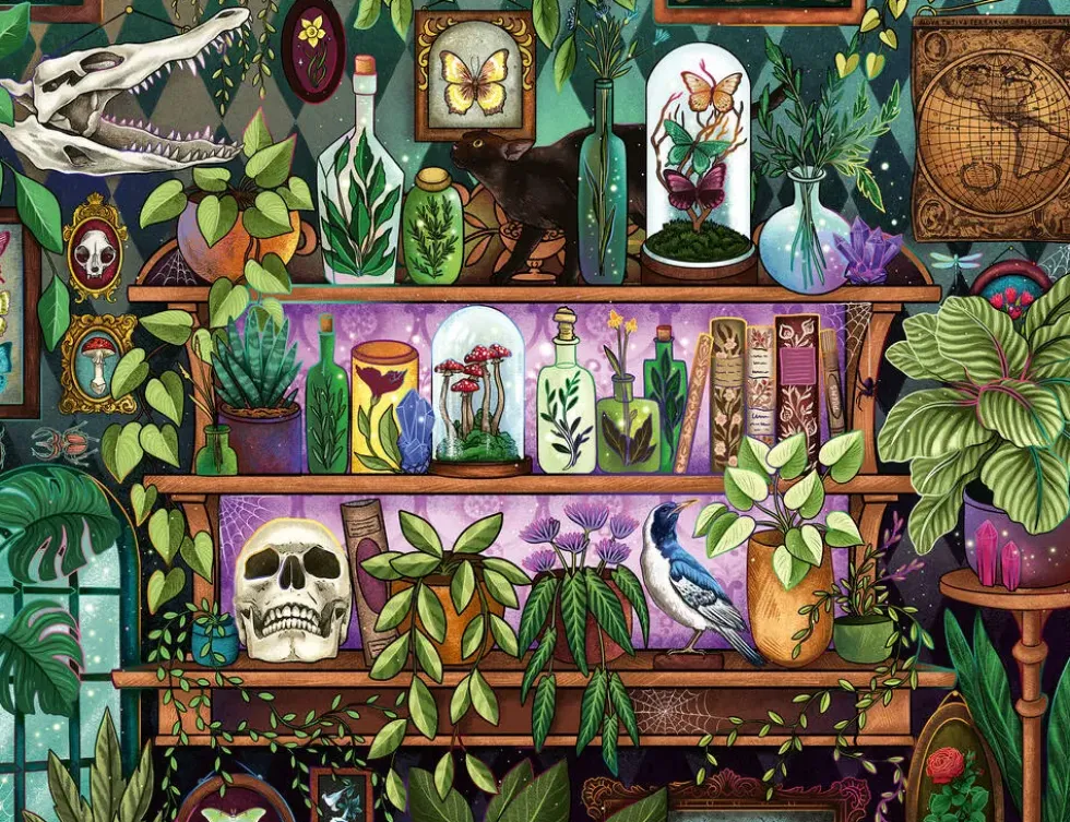 PUZZLE 2000 PIECESBIBELOTS ET OBJETS DE SORCIERE