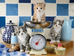 PUZZLE 1500 PIECES - CHATONS DANS LA CUISINE