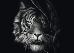 PUZZLE 1000 PIECES - INDOMPTE – LE TIGRE : SOUS LE SIGNE DE LA LIBERTE