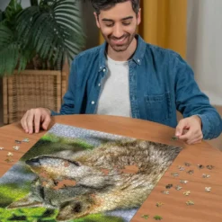 PUZZLE 1000 PIECES - LOUP GRIS EUROPEEN