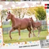 PUZZLE - 60 PIECES - MAMAN BEBE PONEY