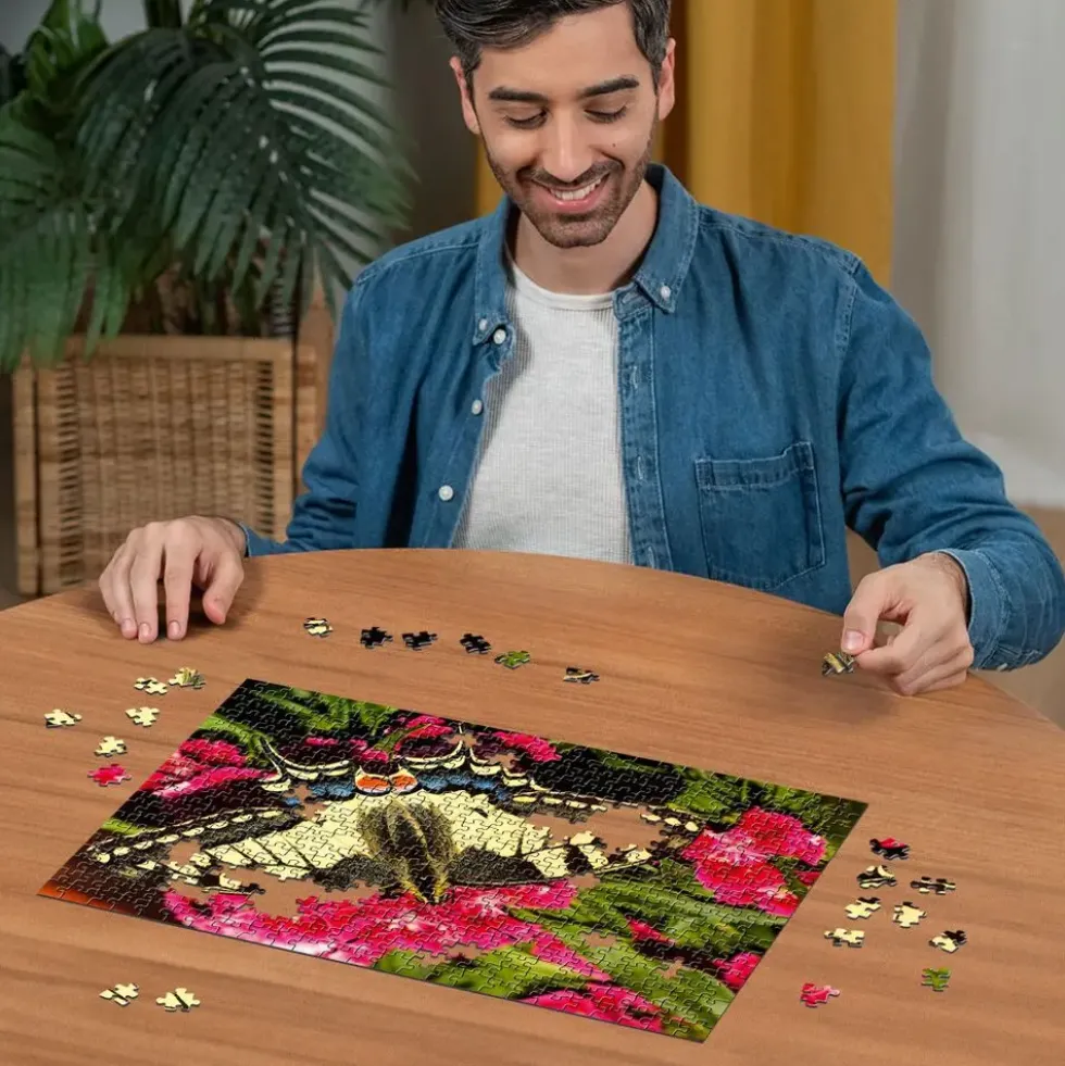 PUZZLE 500 PIECESPAPILLON