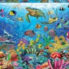 PUZZLE 1000 PIECES - TORTUES FANTASTIQUES TROPICALES