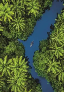 PUZZLE 500 PIECES - TROPICAL AERIAL VIEW