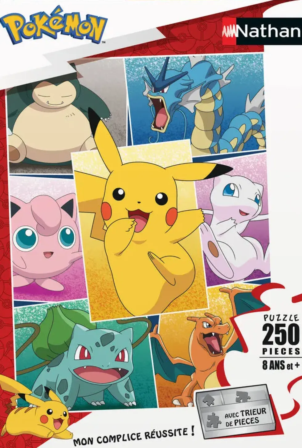 PUZZLE 250 PIECES - TYPES DE POKÉMON