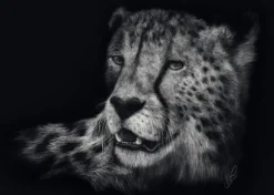 PUZZLE 1000 PIECES - VELOCE – LE GUEPARD : SOUS LE SIGNE DE LA GRACE