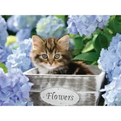 PUZZLE 300 PIECES XXL - PETIT CHATON