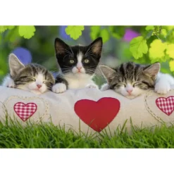 PUZZLE 2X24 PIECES CHATONS REPOS