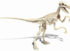 SCIENCE ET JEU - ARCHEO LUDIC VELOCIRAPTOR