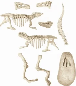 SCIENCE ET JEU - ARCHEO LUDIC VELOCIRAPTOR