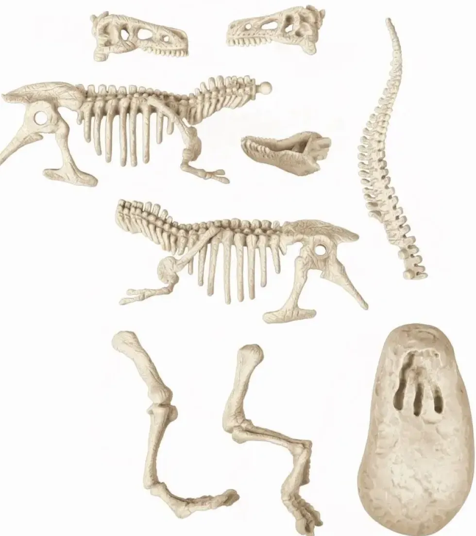 SCIENCE ET JEU - ARCHEO LUDIC VELOCIRAPTOR