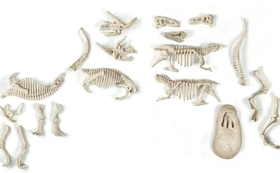 SCIENCE & JEU - ARCHEO LUDIC - T-REX & TIRCERATOPS