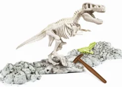 SCIENCE & JEU - ARCHEO LUDIC T REX