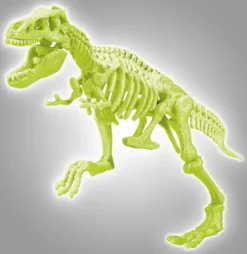 SCIENCE & JEU - ARCHEO LUDIC T REX