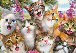 SELFIE DE CHATS, 500 PCS
