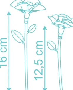 SET DE FLEURS