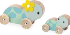SET DE 2 TORTUES