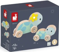 SET DE 2 TORTUES