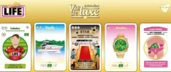 SMILE LIFE EXTENSION VIE DE LUXE