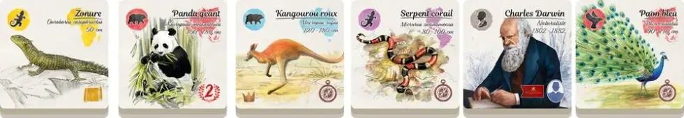SUR LES TRACES DE DARWIN
