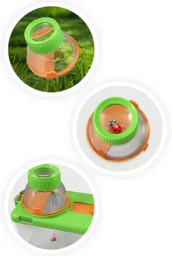 TERRARIUM