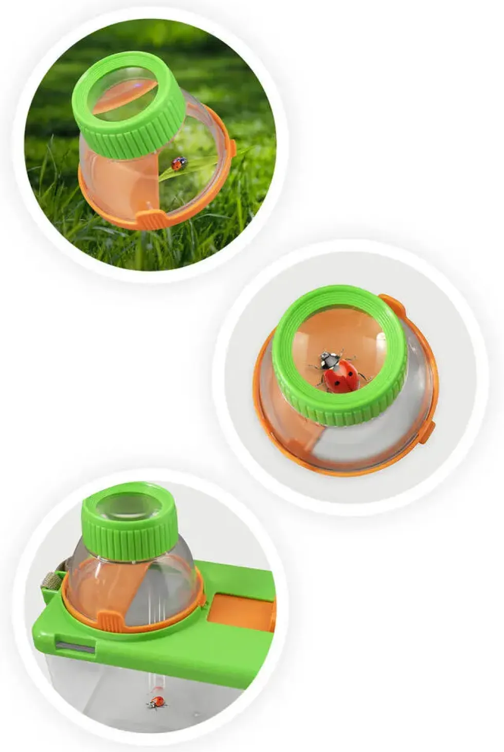 TERRARIUM