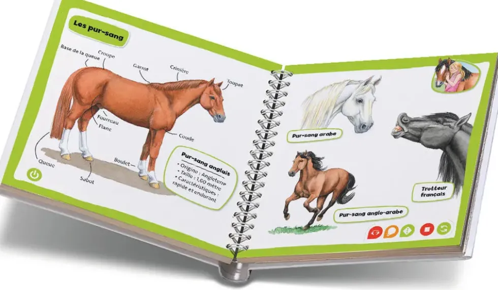 TIPTOI® -MINI DOC'CHEVAUX ET PONEYS