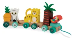 TRAIN TROPICAL A TIRER
