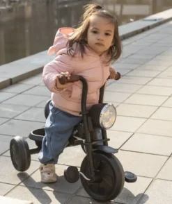 TRICYCLE VINTAGE TRIDURO