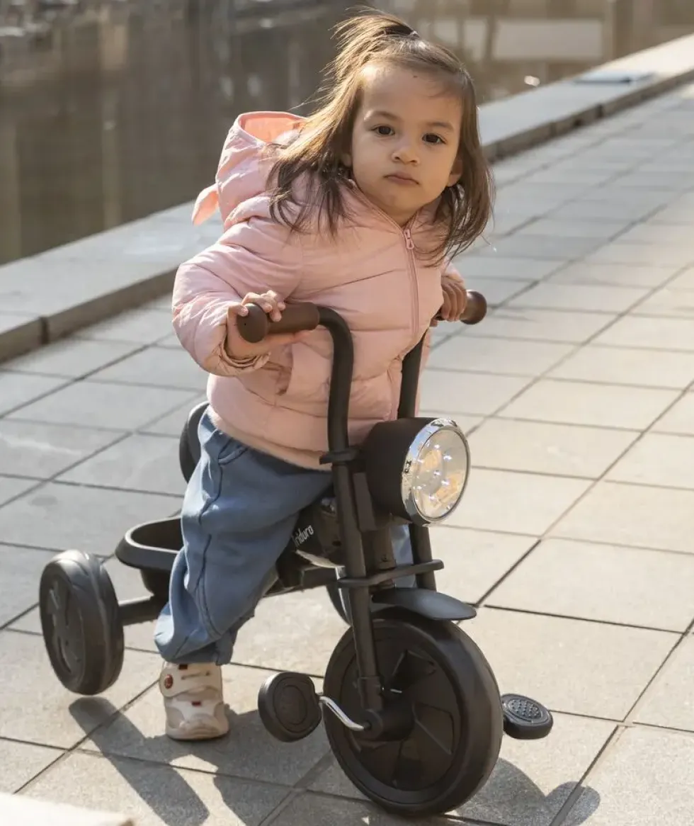 TRICYCLE VINTAGE TRIDURO