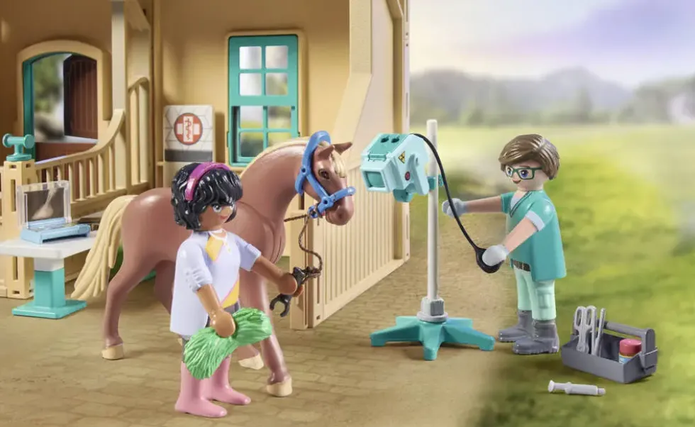 VETERINAIRE ET CENTRE DE THERAPIE - 71352