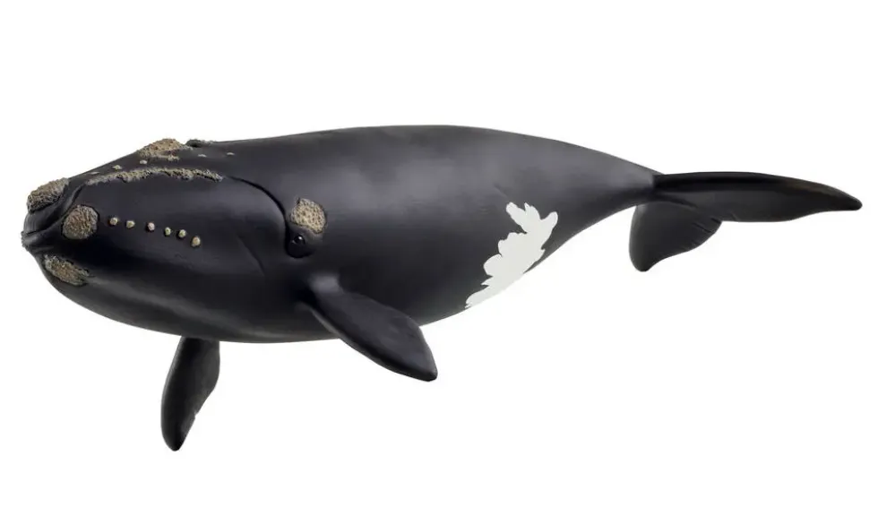 WILDLIFE - FIGURINE BALEINE DE L'ATLANTIQUE