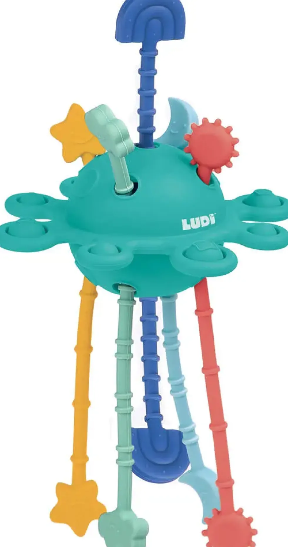 ZIPPY ACTIVITE