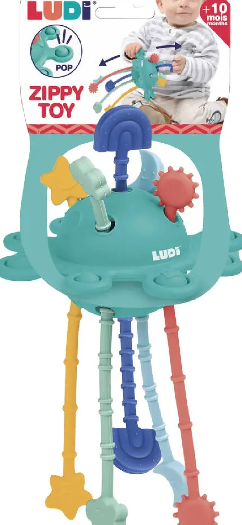 ZIPPY ACTIVITE