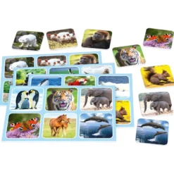 ZOO LOTTO