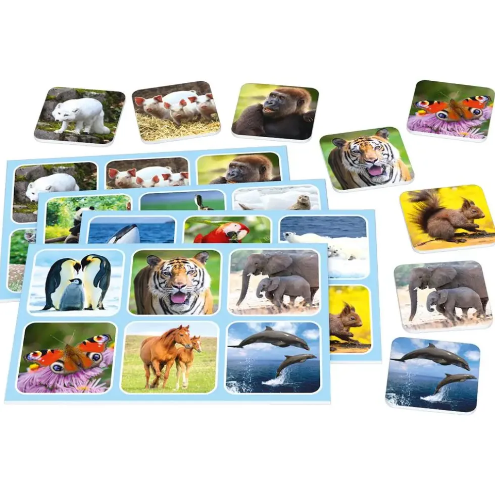ZOO LOTTO